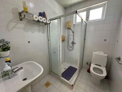 Seletar Hills Estate (D28), Semi-Detached #536111941